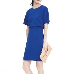 Banana Republic Royal Blue Career Dress size 0